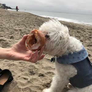 Meet your Posher, Stef